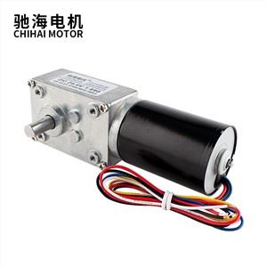 BLDC 5840 bürstenloser Getriebemotor mit 40 U/min und hohem Drehmoment, leise für Vorhangmaschinen